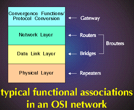 Bridge - Typical functional Associations in an OSI network